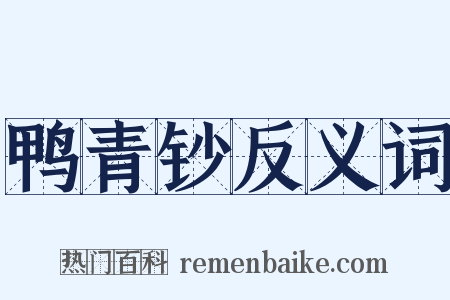鸭青钞反义词是什么意思的图片